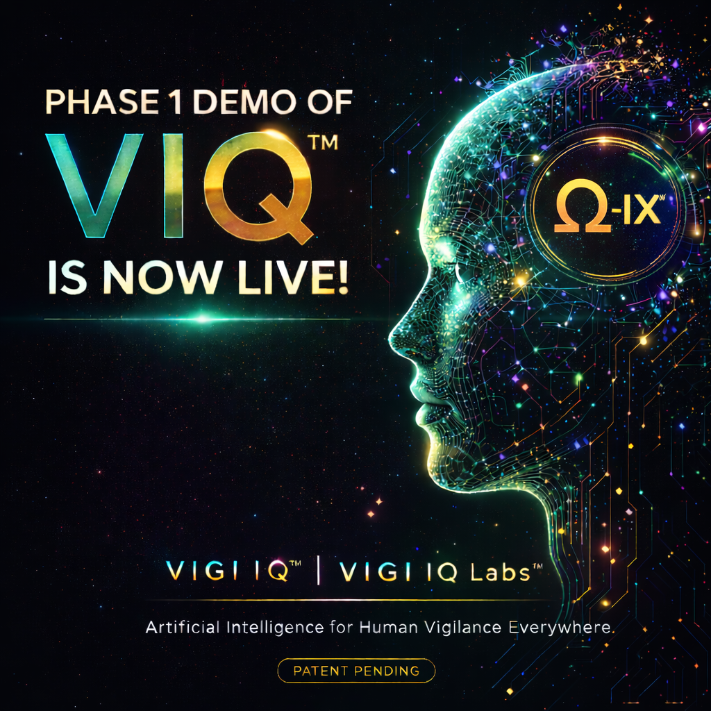 Building VIQ™: The Funny, the Frustrating, and the Fix